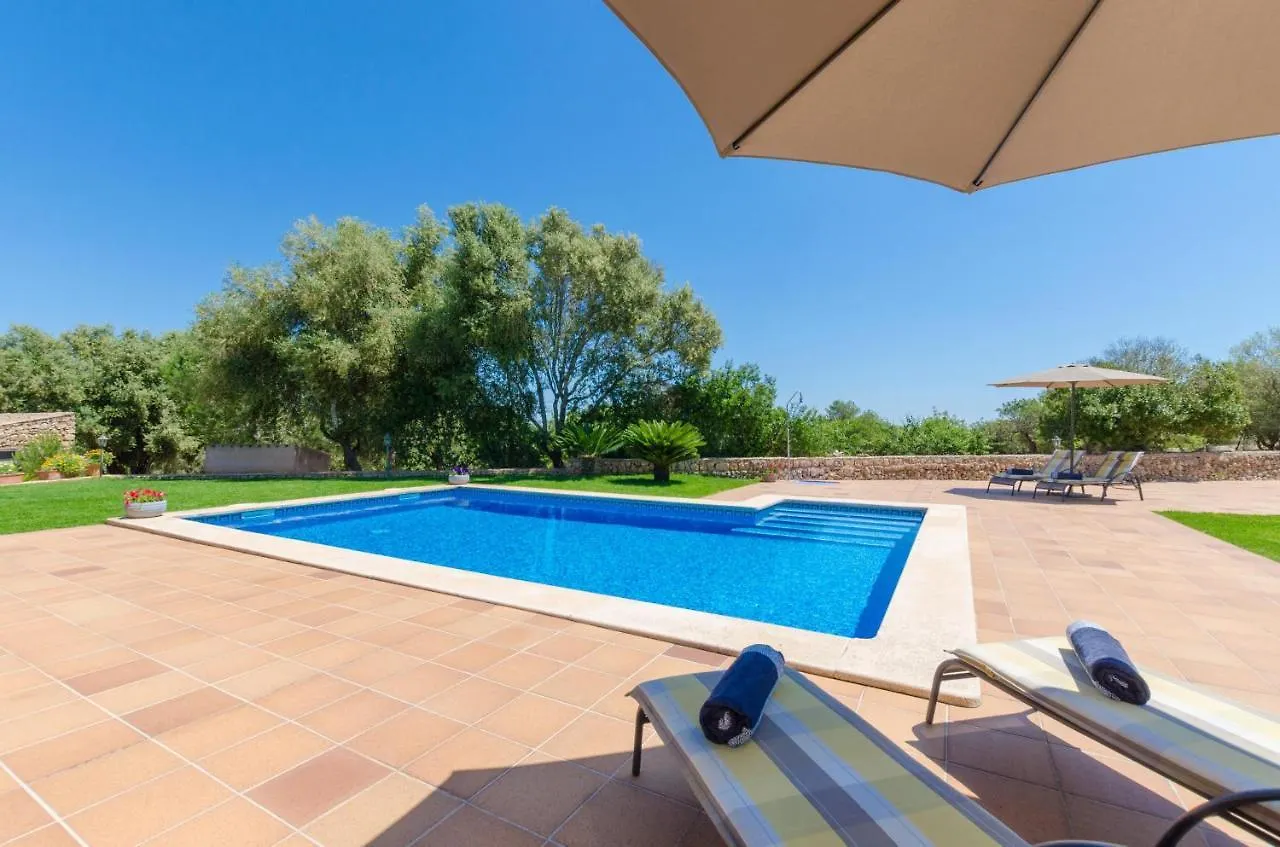 Es Vedat 4 Lloret de Vistalegre 0*,  Spain